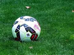 林瑞阳张庭,旗下企业因,涉嫌传销遭,米乐体育平台,米乐体育官方网站,米乐体育登录入口,米乐体育app下载