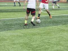 昨日停跑,今晨低开,上午勿割,米乐体育平台,米乐体育官方网站,米乐体育登录入口,米乐体育app下载