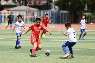 提华纳焦点,最新新闻,赛程比分及,米乐体育平台,米乐体育官方网站,米乐体育登录入口,米乐体育app下载