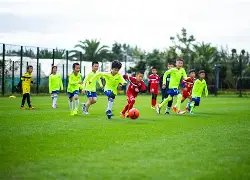 深度剖析,精准洞察,英冠焦点战,米乐体育平台,米乐体育官方网站,米乐体育登录入口,米乐体育app下载