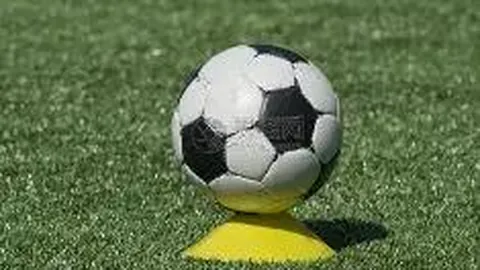 米乐体育 资讯 092505 a60