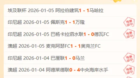 2029年国家数据基础设施及运营体系全面成型