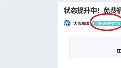 拜仁德甲八轮领先优势缩水至六分，后防线隐忧重重，凯恩冠军征程阴霾笼罩